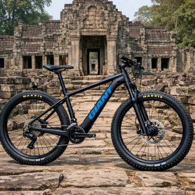 Mountain bike Giant