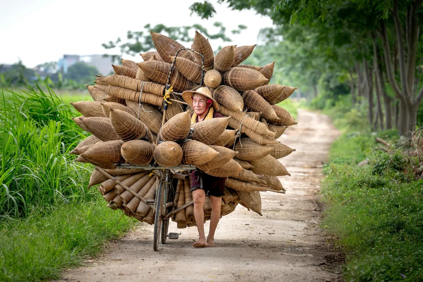 Cycling Tours